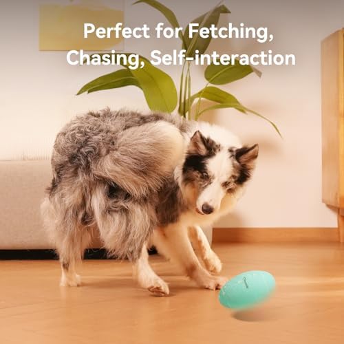 Smart Interactive Dog Toy, Wicked Rugby, Squeaky Dog Toy Football, Automatic Moving, Bouncing, and Rotating, E-TPU Material, Bouncing Fetch Toy for Indoor/Outdoor Use and Small to Large Dogs