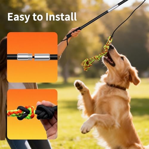 Flirt Pole for Dogs with Squeaker & Rope – Includes XL Carry Bag