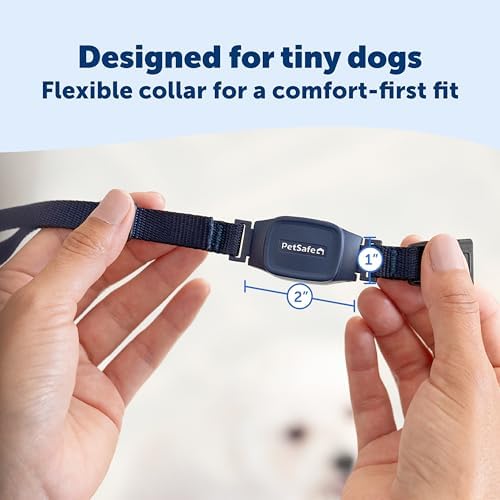 PetSafe NanoBark 2.0 Bark Collar for Small Dogs | 10 Static Levels, Responds Only To Your Dog's Bark, Up To 7-Day Battery, Rechargeable, Waterproof, Dogs 8 lb+, Neck 4-15 in