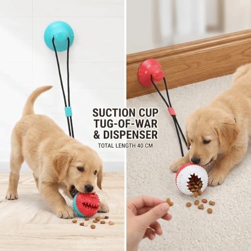Dog Chew Toys Suction Cup Ball with Bell Interactive, Rubber Molar Teeth Cleaning Ball for Food Dispensing and Tug-of-War Games(Red‑White)