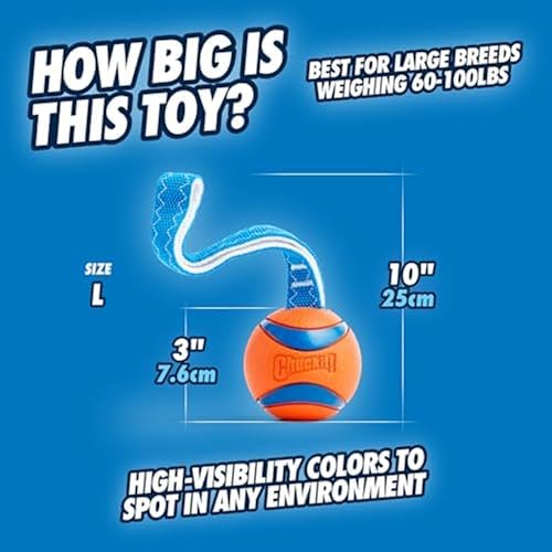 Chuckit! Ultra Tug Dog Toy, Durable Nylon Cord Handle, Large 3-in