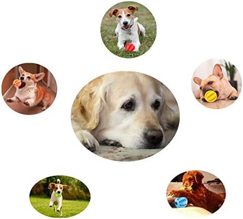Sunglow 2 Pack Dog Toy Ball - Nontoxic Bite Resistant Teething Toys for Small/Medium/Large Dog and Puppy Cat, Dog Pet Food Treat Feeder Chew Tooth Cleaning Exercise Game IQ Training