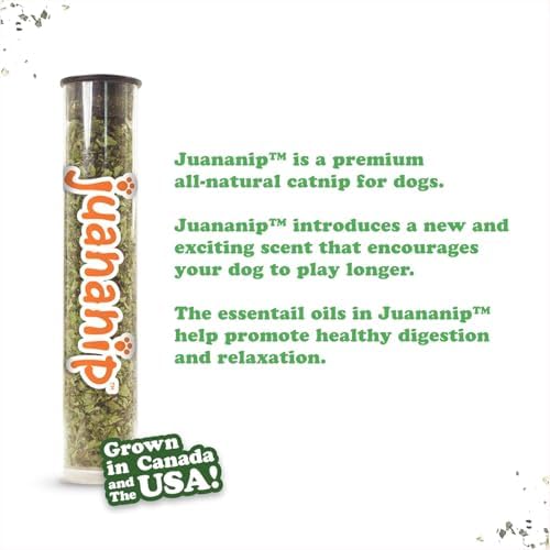 Doggijuana Tuffer Chewer Dog Toy, Stocking Stuffer | Holiday Plush, Squeaky