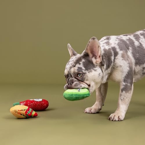 Fringe Studio Plush Dog Toy, 3 Pieces Set, Taste THE Heat, Pet Shop Collection (662151)