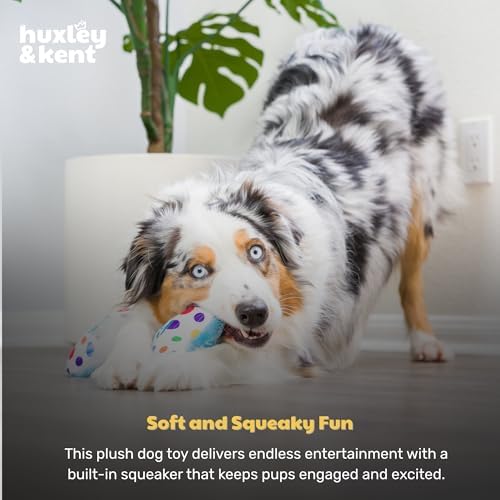 Huxley & Kent Power Plush Squeaky Dog Toy, It's My Barkday Bone, Small