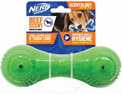 Nerf Dog 7in TPR/PP Scented Beef SuperScent Barbell Solid Core -Green/Clear