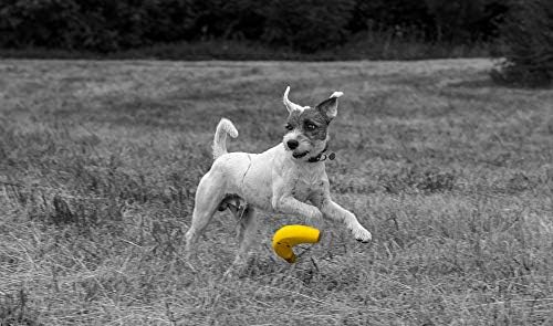 Petface Latex Banana Soft Chew Dog Toy, Large (Pack of 1)
