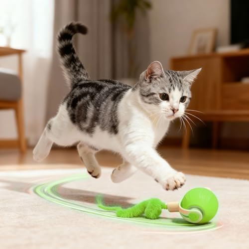 Interactive Cat Toys for Indoor Cats,Automatic Moving Kitten Toys,Cat Balls