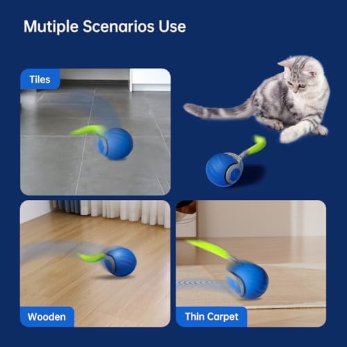 Petgravity Speedy Sprint Ball Toy for Cat Type-C Rechargeable Interactive Cats Toy (Blue 2.0)