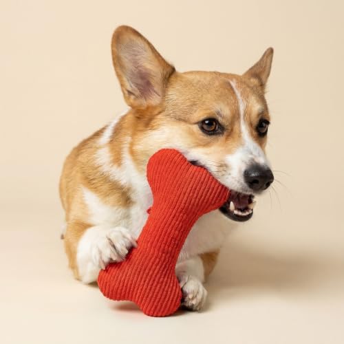 Playology Durable Plush Bone Toy - Crinkle Bone - Medium, Beef Scent