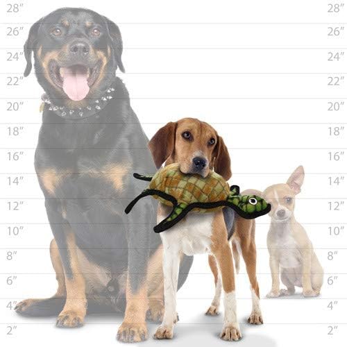 TUFFY® 3 Pack Pig Bear Turtle Ultra Durable Plush Dog Toys