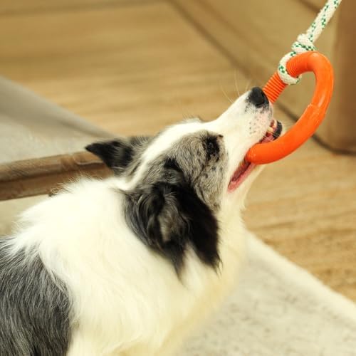 Green Sheep Natural Rubber Dog Chew Toy, Interactive Ring Rope Dog Toy for Tug of War, Durable Dog Toy with Recycled Cotton Rope for Medium to Large Dogs,Orange