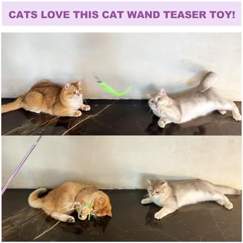 Cat Toys 11Pcs Interactive Cat Wand Worm Refills for Indoor Cats