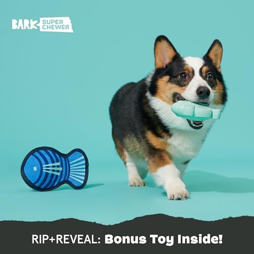 BarkBox Super Chewer Rad Herring Hard Core Toy