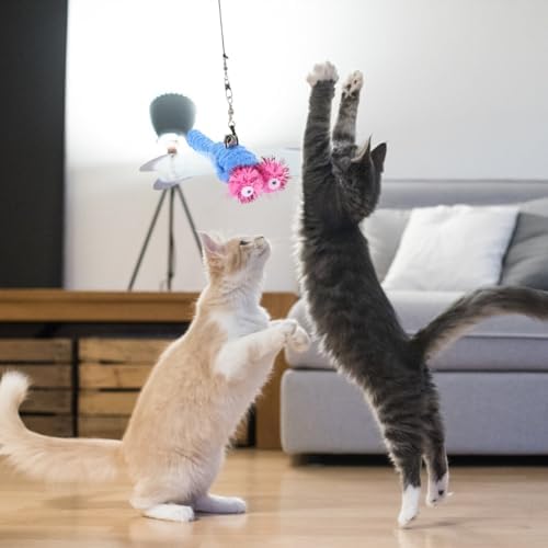 UEETEK Dragonfly Cat Toy Replacement Heads 5 pcs Cat Teaser Wand Refills Interactive Fishing Pole Toy Attachment Safe Material Indoor Play for Cats and Kittens 4.72 X 5.90 X 0.78 in