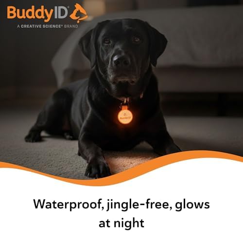 BuddyID BuddyBadge Silicone QR Pet Tag with Lifetime Registration, 1 Tag