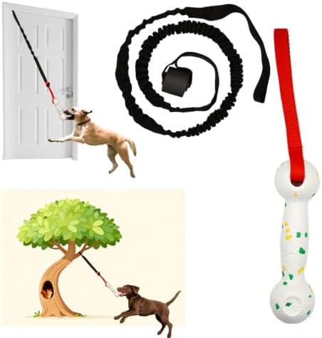 Dog Bungee Tug Toy for Door Hanging, Small Medium Dogs