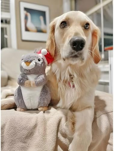 Midlee Halloween Squeaky Squirrel Plush Dog Toy with Witch Hat, 9" for Medium to Large Dogs