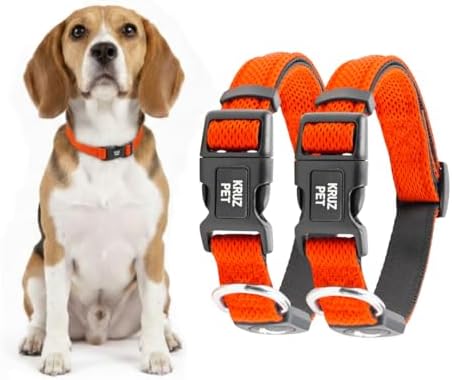 Dog Collar Bundle | Orange Small Dogs (Width- 3/4", Neck - 10.5"-14.5") Small Orange (Width- 5/8", Neck - 8"-12") |Adjustable Padded Collars with Heavy Duty O-Ring | Soft & Comfortable Fit