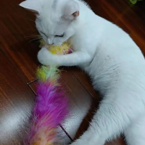 Cat Wand Toys 3 PCS Colorful Teaser Wand with Soft Furry Tail and Bell