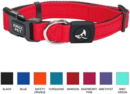 Dog Collar for Small Dogs (3/4 in Width, 10.5–14.5) | Adjustable Padded Orange Dog Collar with Heavy Duty D Ring | Soft Comfortable Fit for Puppies and Small Dogs | Small