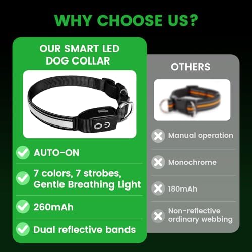 Auto Light Up Dog Collar - Smart Safety Night Collar with Motion Sensor - Auto-On in Dark - USB-C Rechargeable - 3 Day Runtime- IP65 Waterproof (M 15-20“)