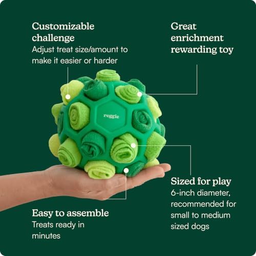 Reggie Snuffle Ball for Dogs | Interactive Treat Dispensing Dog Enrichment Toys | Reduces Boredom, Stress & Hyperactivity | Snuffle Toys for Dogs | Durable & Washable Dog Puzzle Toy I Green