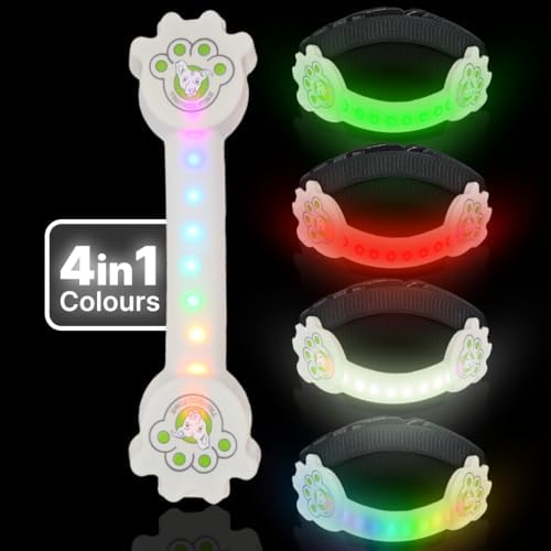 Rechargeable LED Dog Collar, Adjustable Size Light Up Collar with 360° Halo Effect, Ultra-Bright RGB Light, Weather-Resistant Design, Flash Mode, & USB-C Charging for Small, Medium & Large Dogs