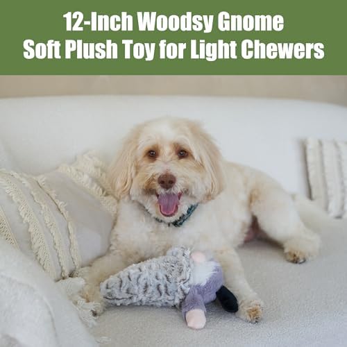 SPOT Woodsy Gnome Dog Toy - Soft, Stuffed, Squeaky, Plush Fabric Toy for Medium and Large Dogs and Puppies, Enrichment for Light Chewers and Cuddlers, 12in, Assorted Colors