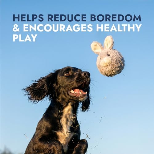 petlou Squeak Toys for Aggressive Chewers Small Medium Breed Chew Toys,Fetch Ball Indoor Ball Toys,Sqeaky Dog Toys (4" EZ Squeaky Rabbit)