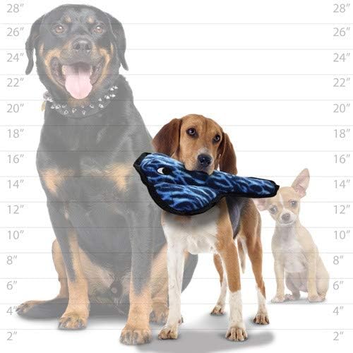 TUFFY® : 2 Pack Fish Stingray Dog Toy: Ultra Durable Plush Toy with Multiple Layers & Reinforced Seams, Washable and Floats, Original Construction