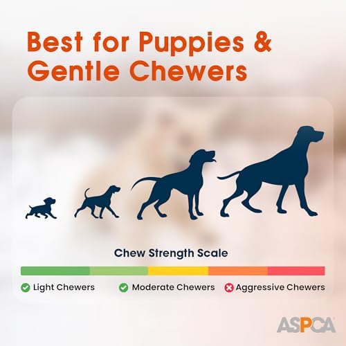 ASPCA 2-Pack Spiky TPR Puppy Teether Bones – Vanilla-Scented Teething Toys for Gum Relief, Gentle Chewing & Interactive Play