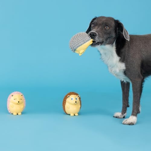 Fringe Studio Dog Toy Set, On A Roll, 3Pc Mini, Latex, Pet Shop Collection (367041)