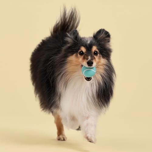 Playology Squeaky Chew Ball Dog Toy - Small, Peanut Butter Scent, 3-Pack