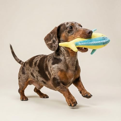 Premium Plush Dog Toy - Mahi Mahi Plush Dog Toy, Small Eco Friendly