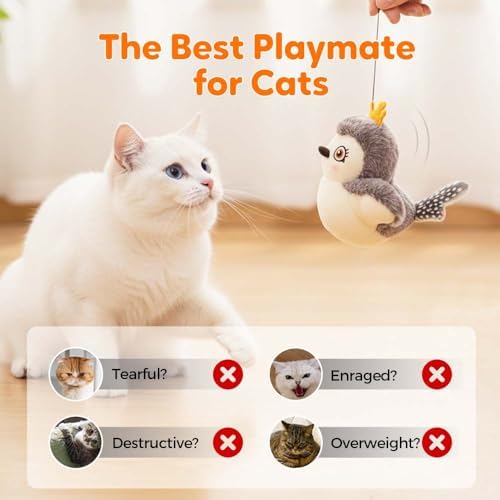 Flying Bat Cat Toy, Halloween Interactive Wild Paws Flying Bat Pet Toy