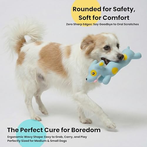 Squeaky Dog Toys [2-Pack], Natural Latex Interactive Squawking Toy for Small Medium Dogs, Durable Bite-Resistant Puppy Chew Toys for Boredom & Teething