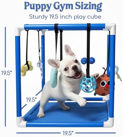 Race&Herd 19.5" Puppy Play Gym — Small Dog Jungle Activity Mat (Ocean)