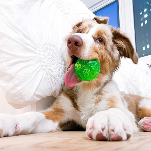 Hyper Pet DuraSqueak Dog Ball Toys (Interactive Toy that Float & Squeak) Squeaky Toys & Dog Balls for Playing, Fetching & Retrieving-Great Alternative to Traditional Tennis Balls-3.5"