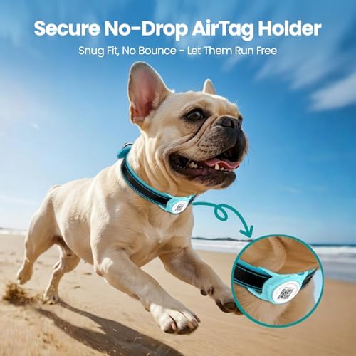 for AirTag Holder Dog Collar, Smart QR Code Holder for Cats and Dogs, for AirTag Protective Cases - Scan Alert, Instant Location, Pet Online Profile, Contacts Info (1Pack,Robin's Egg Blue)