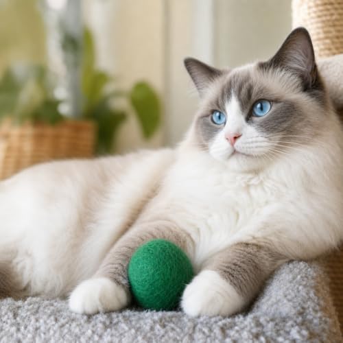 Felted Wool Cat Ball Toys, Green, 6PCS