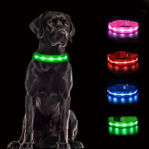 CHUKCHI LED Dog Collar Rechargeable,Waterproof Flashing Collar,Light Up Glow Collar, Adjustable Soft Safety Light Up for Small Medium Large Dogs Walking Camping at Night (Green-M)