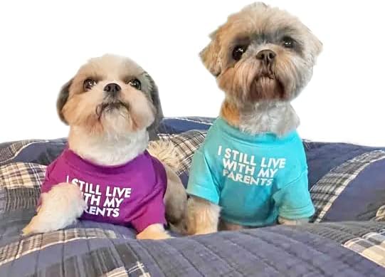 Cute Dog Clothes, T Shirt for Medium and Small Dogs Girl Boy,Puppy.Breathable Soft Dog Costume for Pet Dogs Cats, Pet Pullover Jumper, Cat Clothes (XXL-(19~23lb), Chest~21.5", Aqua)