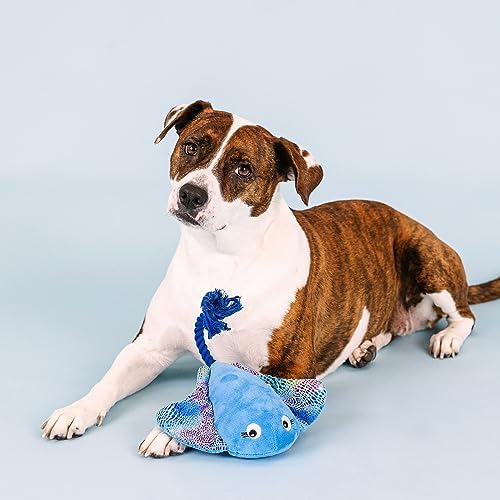 Fringe Studio Plush Dog Toy, Do The Right Sting, Pet Shop Collection (314287)