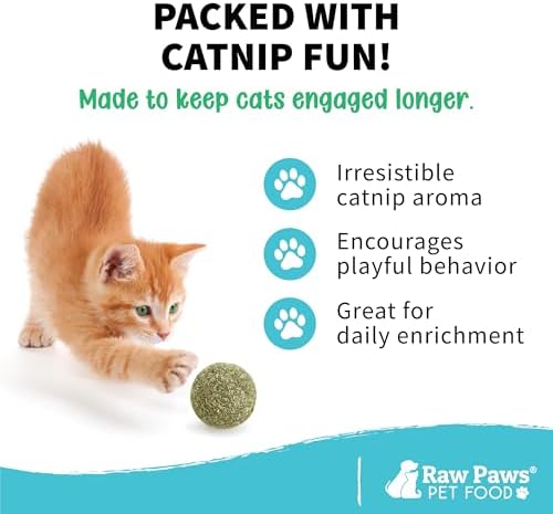 Raw Paws Catnip Balls for Cats (6-Count) - Interactive Indoor Cat Toy