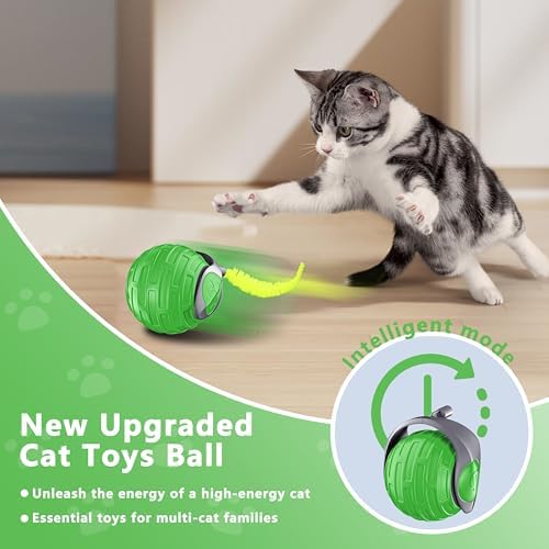 Cat Toys,Interactive Cat Toys Ball for Bored Indoor Cat,Green