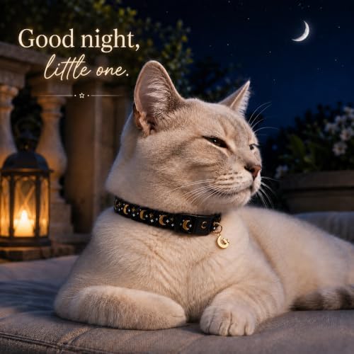 Breakaway Cat Collar with Bell for Kittens & Cats