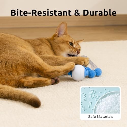Cat Toys for Indoor Cats, Interactive Cat Toy Ball with Pom-Pom Tails, Automatic Cat Toy Self Play Exercise Toy to Relieve Boredom for Kitten & Adult Cats (Blue)