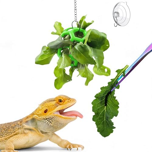 Bearded Dragon Enrichment Toys Feeding Tongs Accessories, Veggie Feeder Ball and Feeding Tongs with Rubber Tip, Greens Training Kit for Reptile Lizard Gecko, Reptile Tank Accessories (Green)
