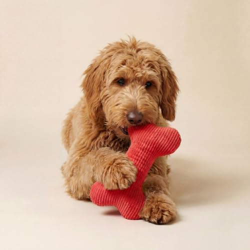 Playology Durable Plush Bone Toy - Crinkle Bone - Jumbo, Beef Scent